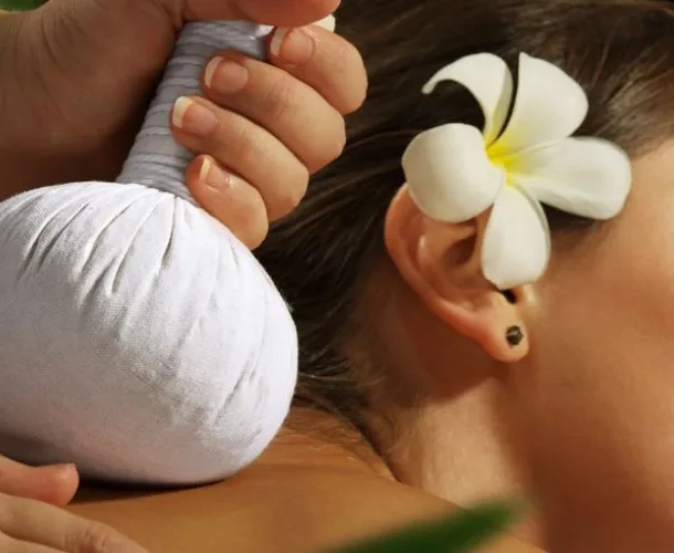 Ayurveda-Panchakarma