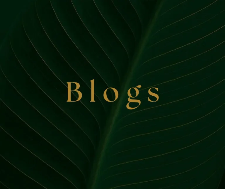 Blogs