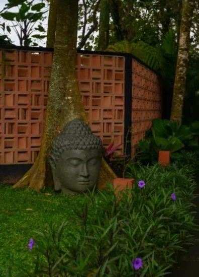 Yoga & Meditation