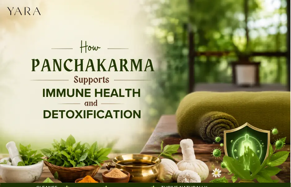 how panchakarma supports immune health and detoxification