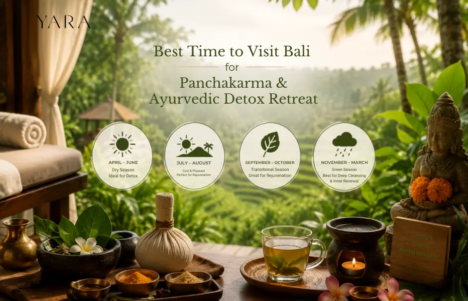 best time to visit bali for panchakarma and ayurvedic detox